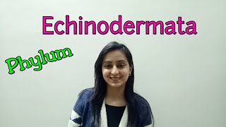 Phylum Echinodermata  Biological classification part 18  Class XILecture 46 [upl. by Goldin]