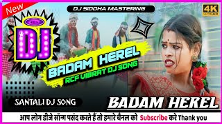 Badam Herel🌺Santali Dj Song 2024🌺New Santali Song 2024🌿 New Santali Video 2024 [upl. by Selwin587]