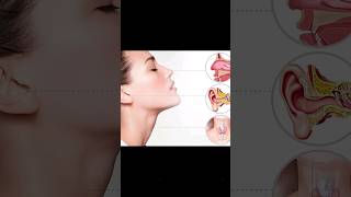 Lymph Nodes In The Neck Treatment In Hindi Urdu [upl. by Oiramad]