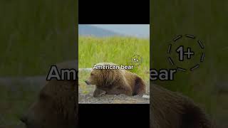 Antartic bear polar vs American beargrizzlyeditbearsanimals [upl. by Sidhu]