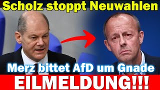 🚨Scholz stoppt Neuwahlen Merz schäumt vor Wut 💥Friedrich Merz bittet AfD um Gnade [upl. by Cawley]