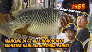 GAK HABIS FIKRI BABON 12 KILO JADI GORENGAN MONSTER IKAN MAS INI BERAKHIR DITIMBANGAN [upl. by Rawdan745]