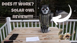 Solar Bird Repellent Owl Decoy Bird Deterrent Devices Outdoor with Flashing Eyes REVIEW [upl. by Thayne489]