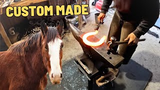 HOT SHOEING Our RESCUED Draft Horse OLIVER [upl. by Lourdes147]