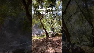 Lower Winter creek trail survives the Bobcat fire 🔥 [upl. by Lynus]