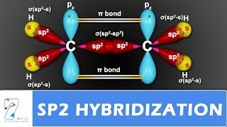 SP2 Hybridization [upl. by Friedlander302]