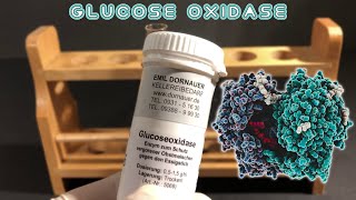 Two experiments with glucose oxidase glucoseoxidase [upl. by Alejna]