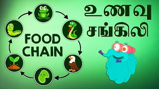 உணவு சங்கிலி  What is a Food Chain  DrBinocs Tamil  Best Learning Videos For Kids [upl. by Alwitt139]