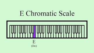 E Chromatic Scale [upl. by Noreik247]