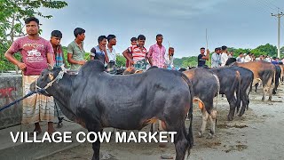 Huge Village Cattle Market  Eid Cow Bazar 2019  Bangladesh [upl. by Konopka]