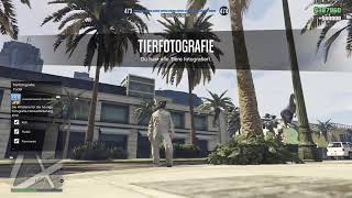 Gta 5 online live Dealer Location Today [upl. by Jennings518]