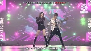 Vietsub Perf SNSD ft EXO DJ Got Us Fallin In Love SMTown in Tokyo III mp4 [upl. by Araic]