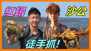 【吳小珍】大沙公的洞 你敢伸手進去掏嗎 沙公、紅蟳、趕海、西施舌、釣螃蟹、三點蟹、花蟹…，可參考 [upl. by Beisel]