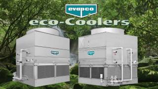 ECO ATWE  English [upl. by Haron721]