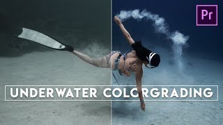 How to Color Grade Underwater Videos  Maldavar School [upl. by Nawuj342]