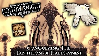 Hollow Knight The Pantheon of Hallownest Embrace the Void TrophyAchievement [upl. by Eamanna497]