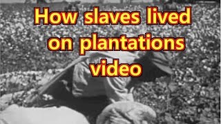 Plantation life for slaves in the South [upl. by Nath]