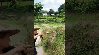 Prevent Water Flow From Damaging Field Ridge So That Use Plastic Pipe Instead Of Digging A Ditch [upl. by Nilre]