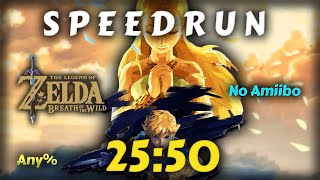 Jai fini Zelda BotW en 25 minutes 50 sec  Speedrun Zelda BotW Any NA [upl. by Issirk408]