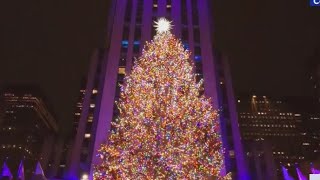 Palestinian supporters protest near Rockefeller tree lighting [upl. by Elah]