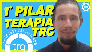 1° METODO da TRG  TERAPIA DE REPROCESSAMENTO GENERATIVO  MÉTODO CRONOLÓGICO [upl. by Ycnan]