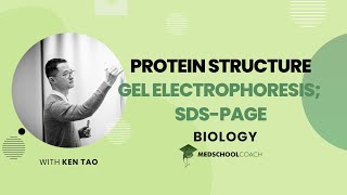 Gel Electrophoresis and SDSPAGE [upl. by Letsyrhc937]