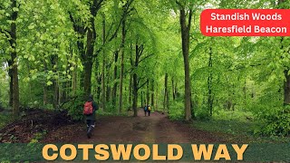 Cotswold Way walk Standish Wood and Haresfield Beacon [upl. by Adle]