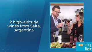 2 highaltitude wines from Salta Argentina [upl. by Gildas]