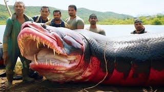 Les 10 créatures les plus meurtrières des rivières du monde [upl. by Sefton437]