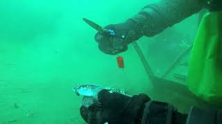 Donner Lake Scuba Diving Hunting for Treasure and Fun [upl. by Pepillo]