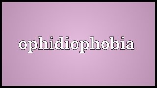 Phobias  Causes Symptoms and Treatments and More [upl. by Attenborough]