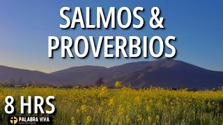 Salmos y Proverbios para dormir en paz  calma la ansiedad  8 HRS [upl. by Leahci]