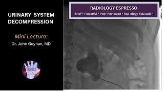 URINARY SYSTEM DECOMPRESSION  PERCUTANEOUS NEPHROSTOMY TUBE Mini Lecture Dr John Guynan MD [upl. by Einatsed]