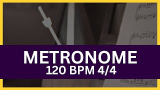 Metronome 120 BPM 44 [upl. by Atinehs854]