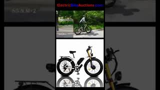 2000W Dual Motor Electric Bike 48V [upl. by Treva]