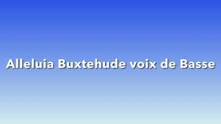 Alleluia de Buxtehude Basse [upl. by Tandy]