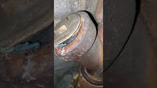 The Dangers of an Open Sewer Line Cap [upl. by Rehctaht636]