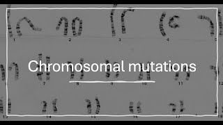 Chromosomal mutations [upl. by Adnuhsal]