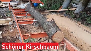 Besäumte Bretter schneiden mit der Bandsäge Mehr Kirschbaum für das Sägewerk [upl. by Anaynek]