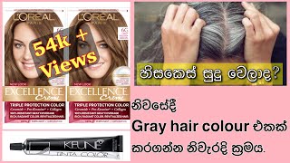 How to color gray hair at home  DIY  LOreal  featuring Excellence  Keune  Bellose  Sinhala [upl. by Pillihp929]