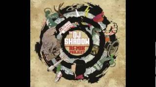 Dj Shadow  Building Steam With A Grain Of Salt NiT GriT Mix [upl. by Franck938]