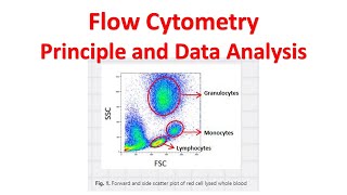 Flow cytometry Tutorial  Flow Cytometry Data Analysis  Flow cytometry Gating [upl. by Neal]