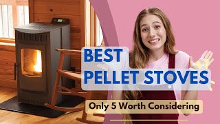 Best Pellet Stoves 2024  Only 5 Worth Considering [upl. by Dianthe]