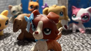 LPS series The new girl Episode 1 The start [upl. by Docilu]