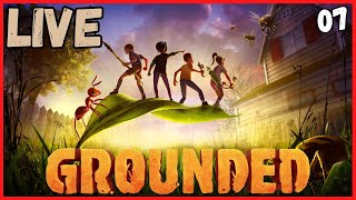 LIVE Grounded 7 [upl. by Suanne]