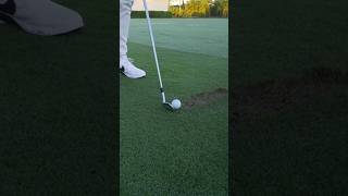 Rory usingTaylorMades P7MB iron 🔥 shorts golf views viral satisfying [upl. by Page]