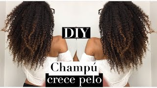 Champú CRECE PELO casero DIY  retopelucón 712 semana [upl. by Yruj]