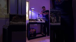 Challenges with nano  pico reef tanks [upl. by Ennoryt242]