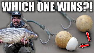 Carp Fishing Hookbaits Challenge  Bottom Baits Vs Tipped [upl. by Elehcor]