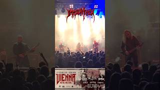 Immolation Live Vienna Metal Meeting 2024 [upl. by Ader483]